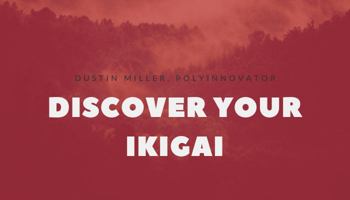 🌟 Ikigai and Focus